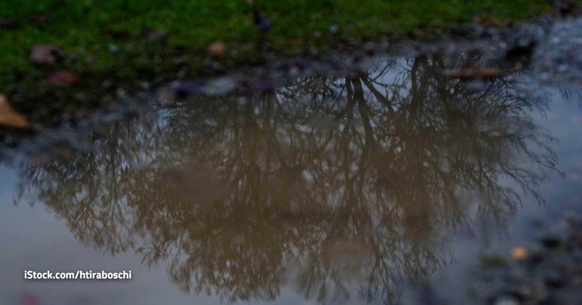 El clima del viernes 28 de noviembre de 2025 para Neuquén