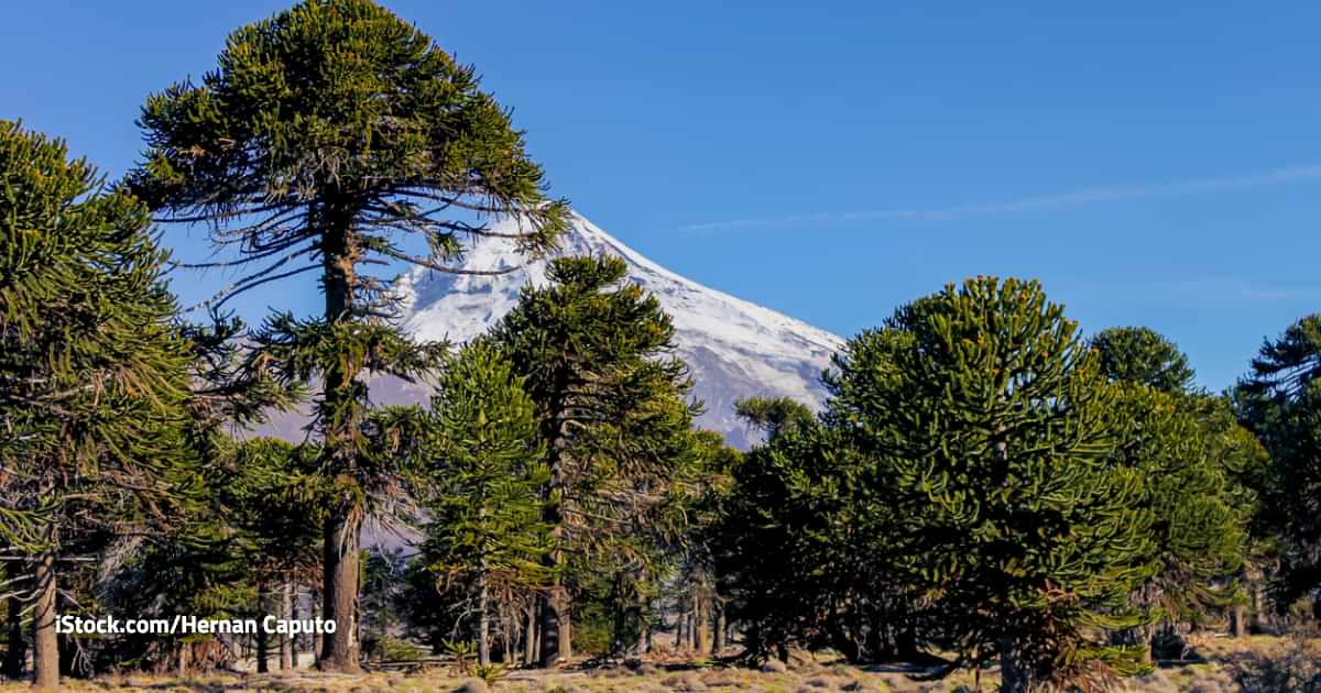 El clima del lunes 18 de agosto de 2025 para Temuco