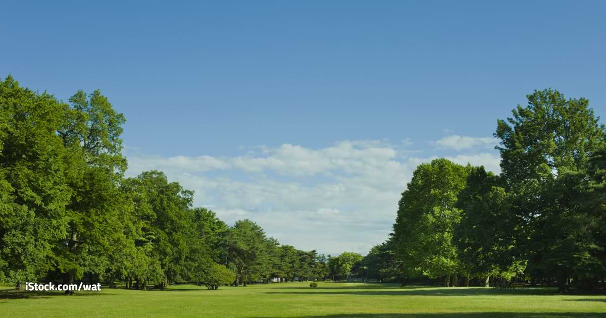 El clima del sábado 16 de agosto de 2025 para Mercedes