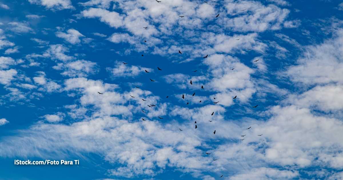 El clima de hoy para San Diego