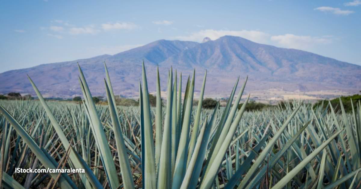 El clima del domingo 21 de septiembre de 2025 para Guadalajara
