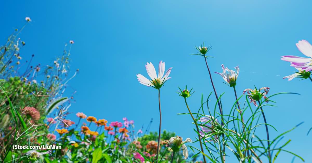 El clima del lunes 1 de diciembre de 2025 para Managua