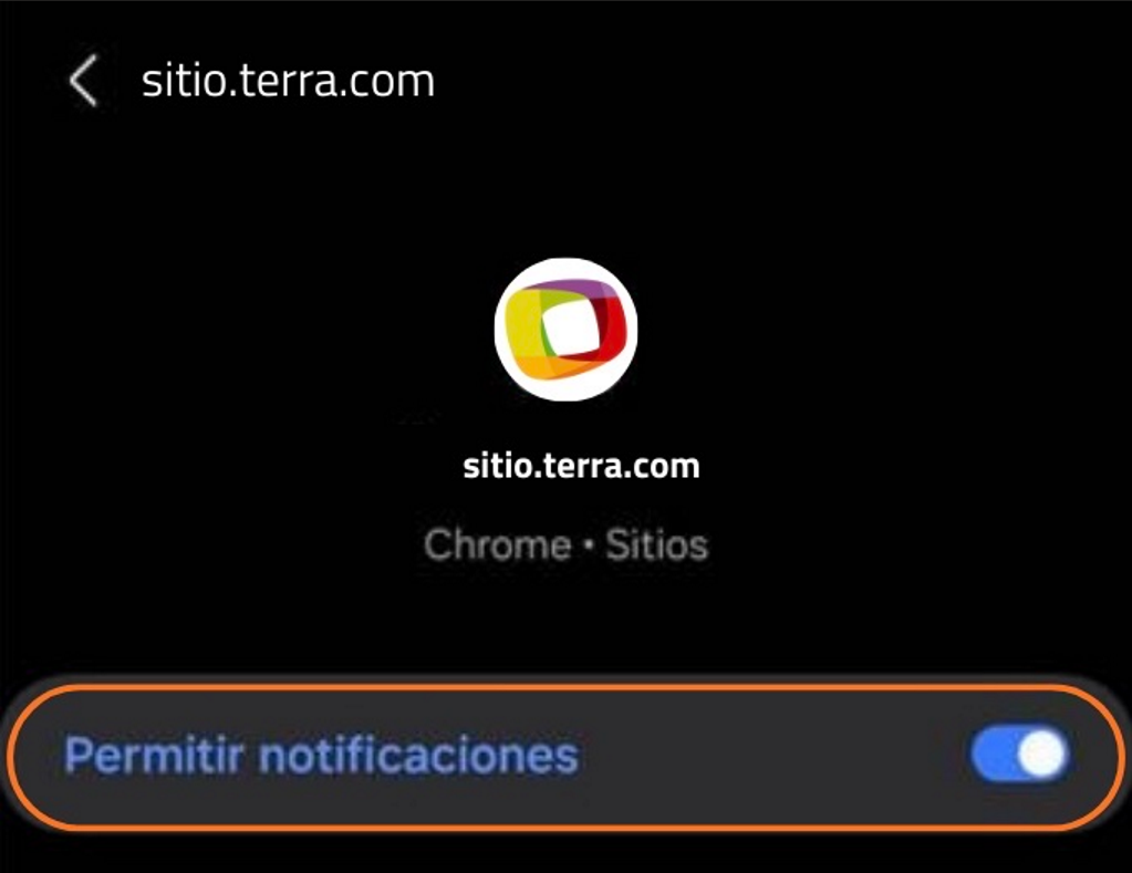 Pantalla de notifcaciones permitidas